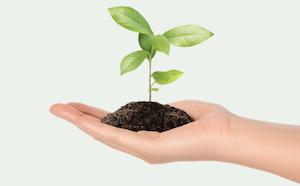 Ideasown website, represented by a growing plant, providing free ideas and innovations 